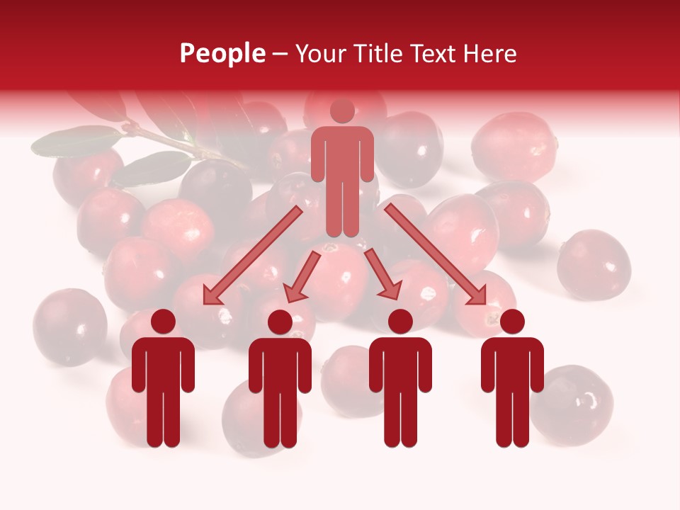 Frisch Obst Isoliert PowerPoint Template