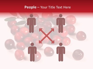 Frisch Obst Isoliert PowerPoint Template