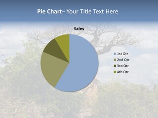 Natural Huge Vegetation PowerPoint Template