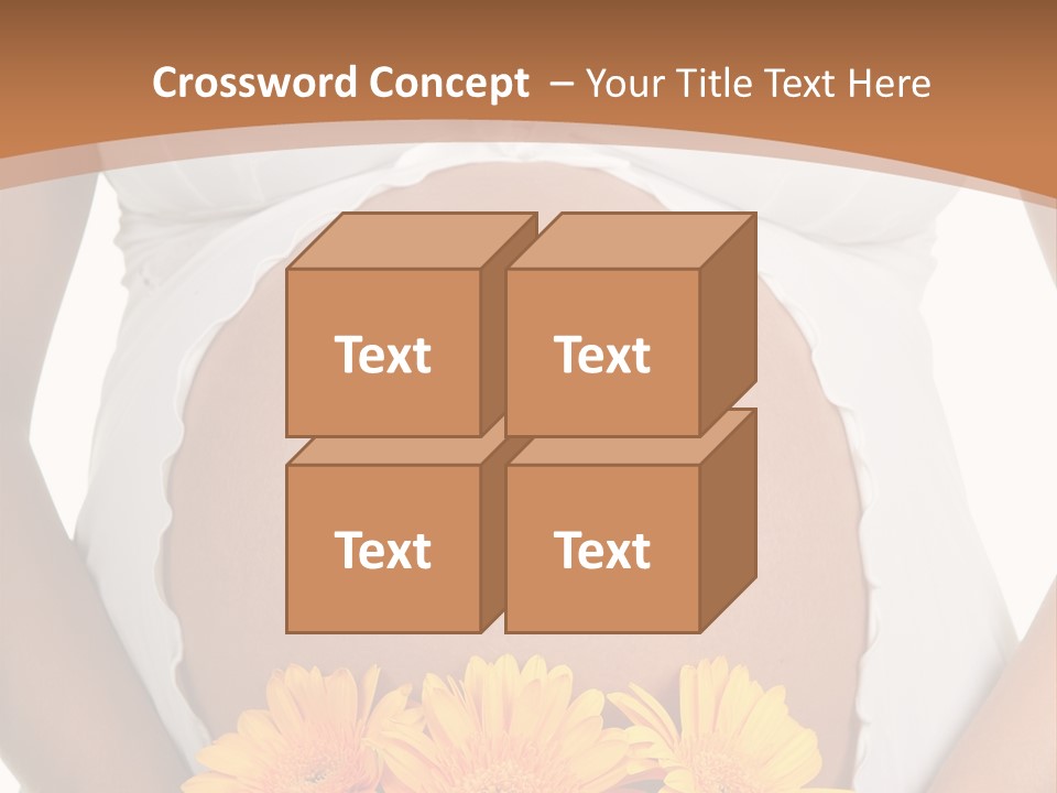 Maternity Shirt Body PowerPoint Template