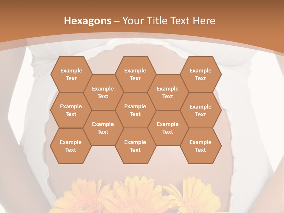 Maternity Shirt Body PowerPoint Template