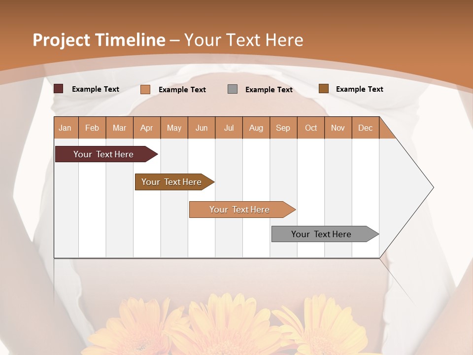 Maternity Shirt Body PowerPoint Template