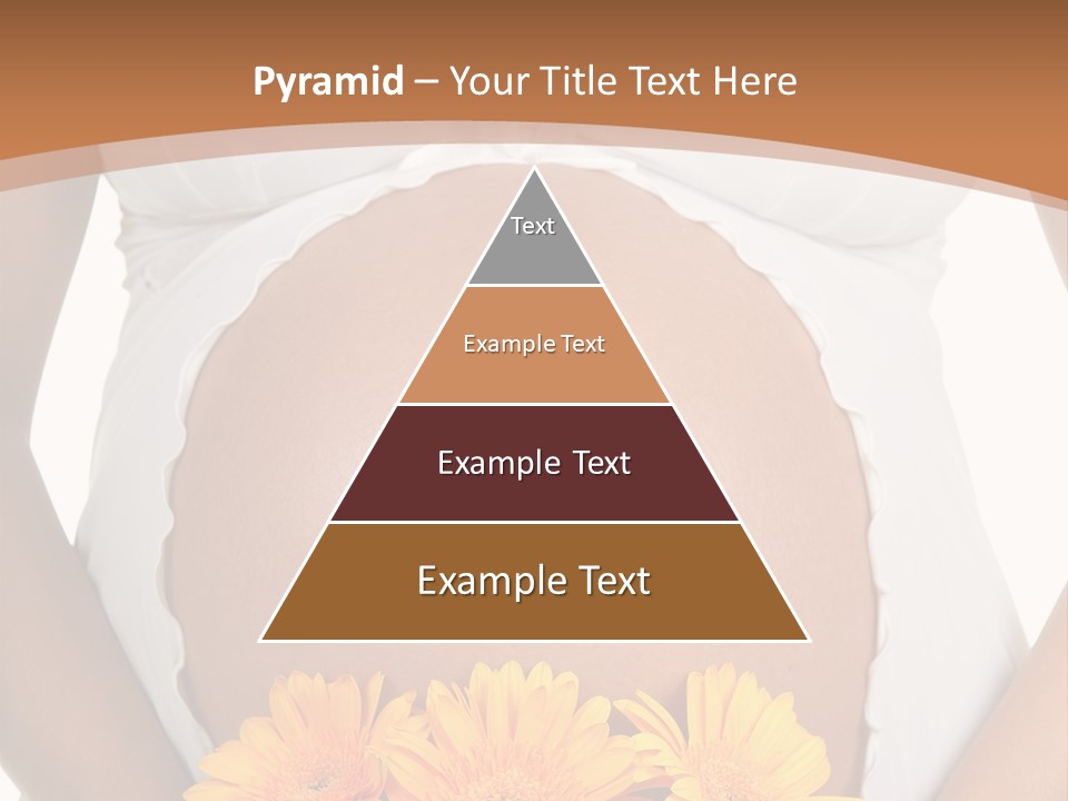 Maternity Shirt Body PowerPoint Template