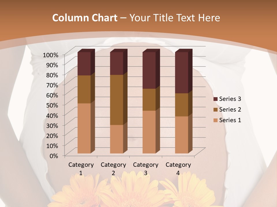 Maternity Shirt Body PowerPoint Template