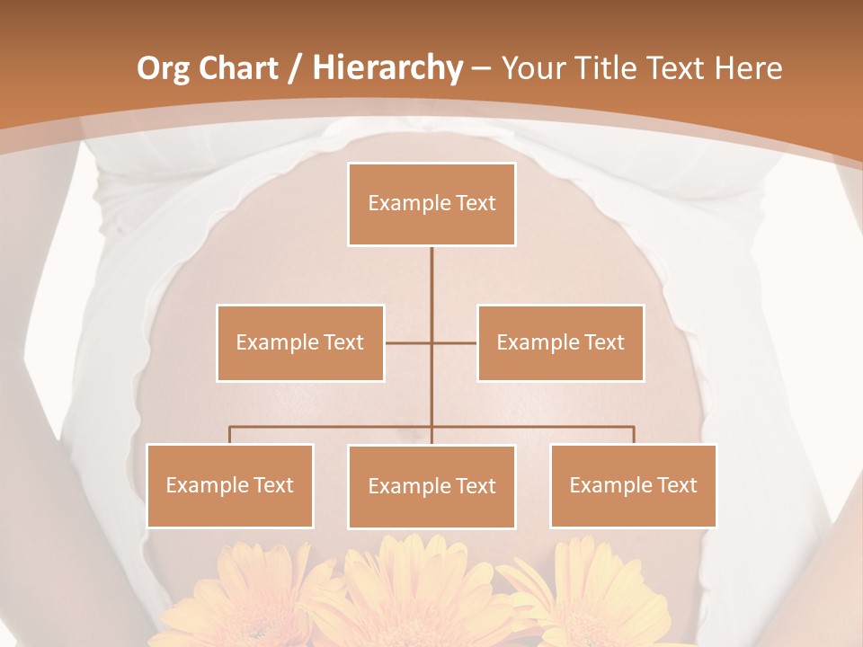 Maternity Shirt Body PowerPoint Template