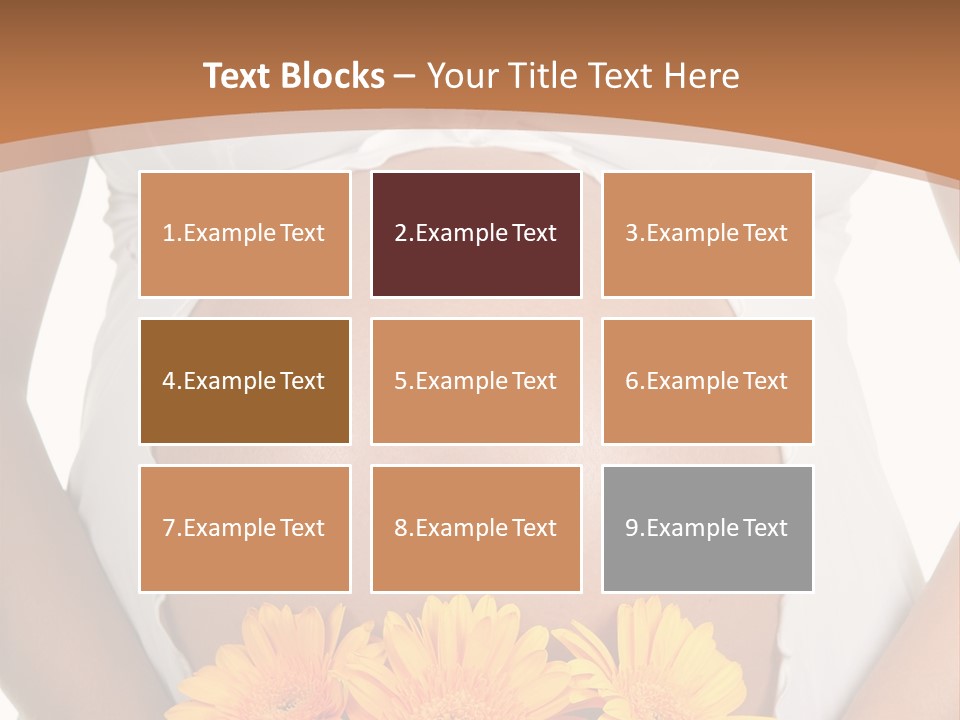 Maternity Shirt Body PowerPoint Template