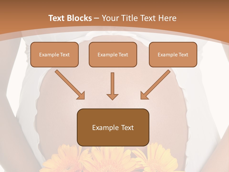 Maternity Shirt Body PowerPoint Template