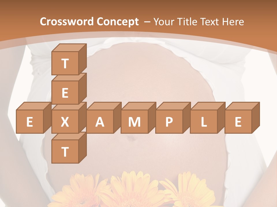 Maternity Shirt Body PowerPoint Template