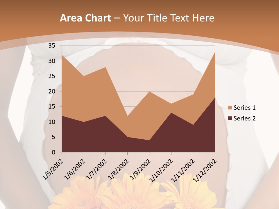 Maternity Shirt Body PowerPoint Template