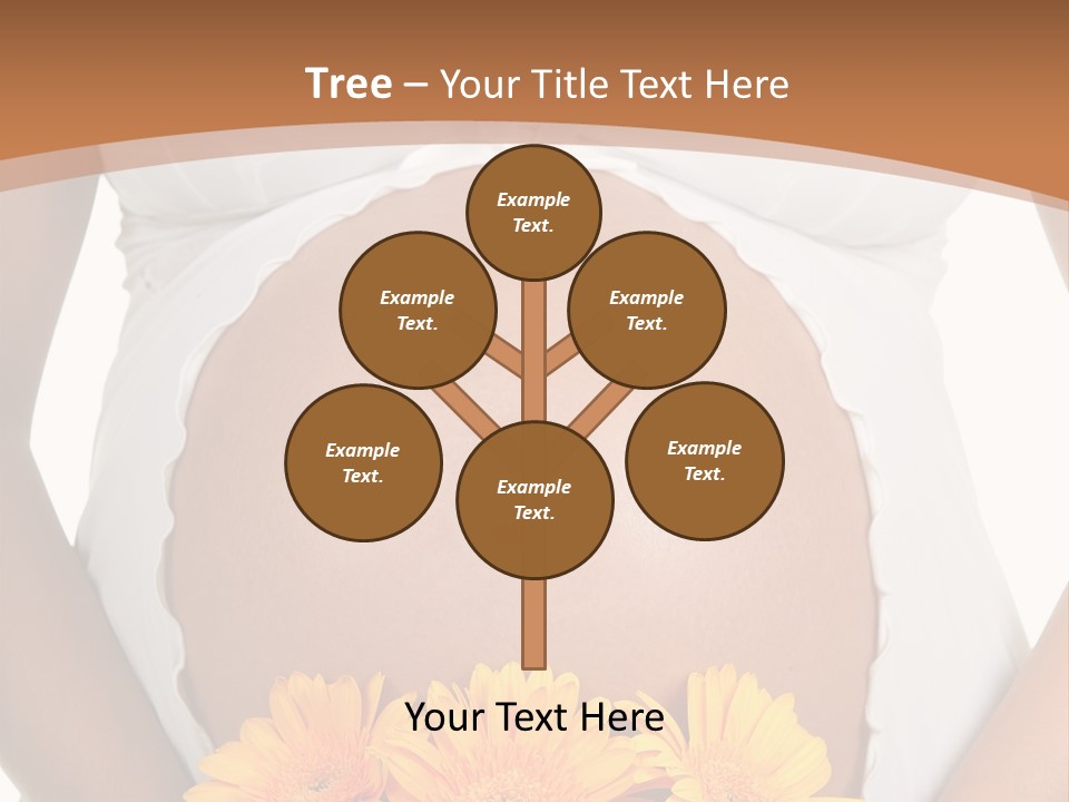 Maternity Shirt Body PowerPoint Template