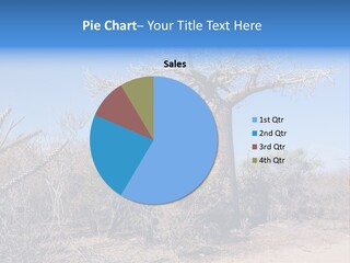 Field Unique Tree PowerPoint Template