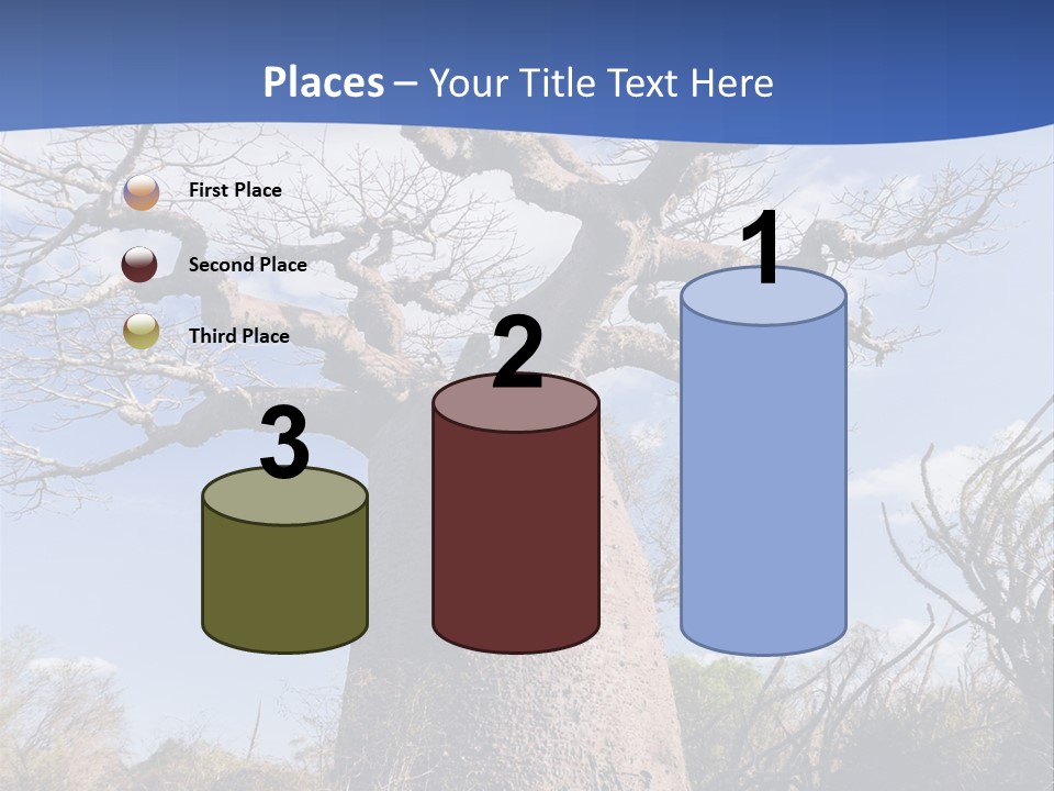 Branch Adansonia High PowerPoint Template