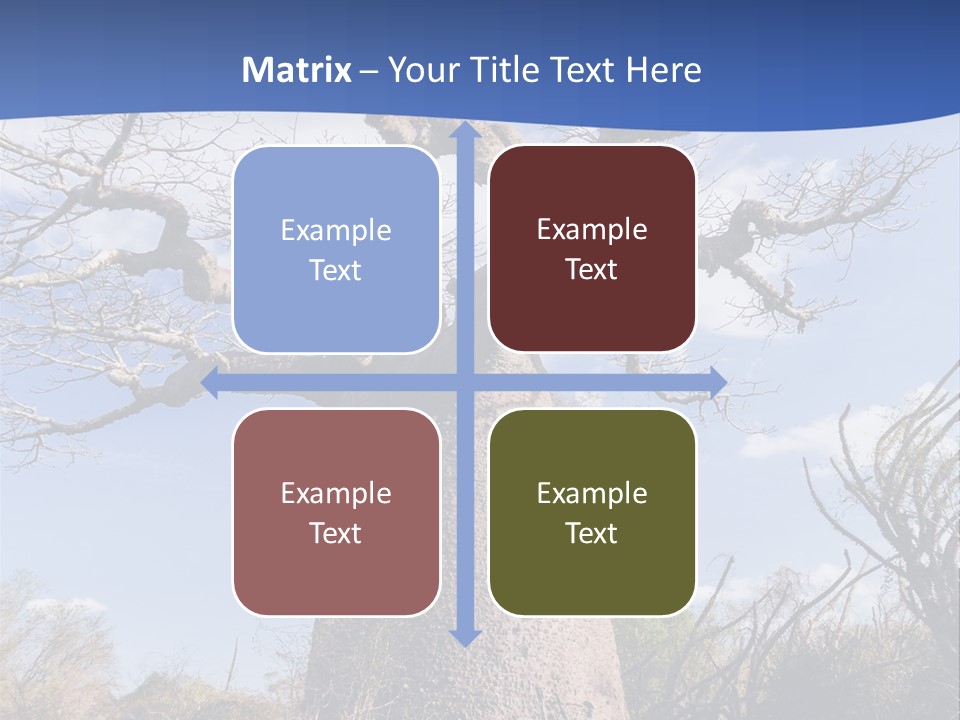 Branch Adansonia High PowerPoint Template