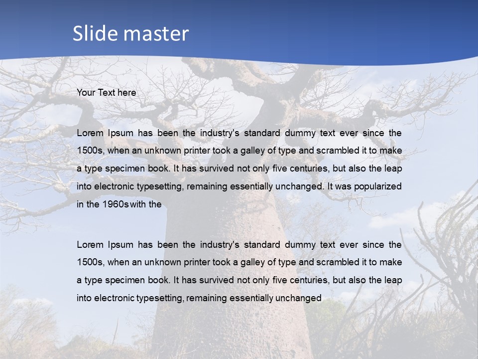 Branch Adansonia High PowerPoint Template
