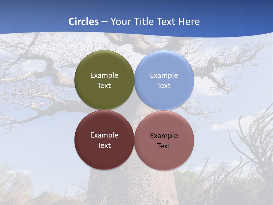 Branch Adansonia High PowerPoint Template