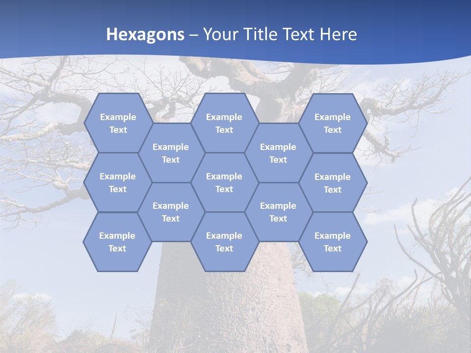 Branch Adansonia High PowerPoint Template