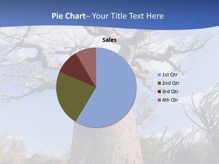 Branch Adansonia High PowerPoint Template