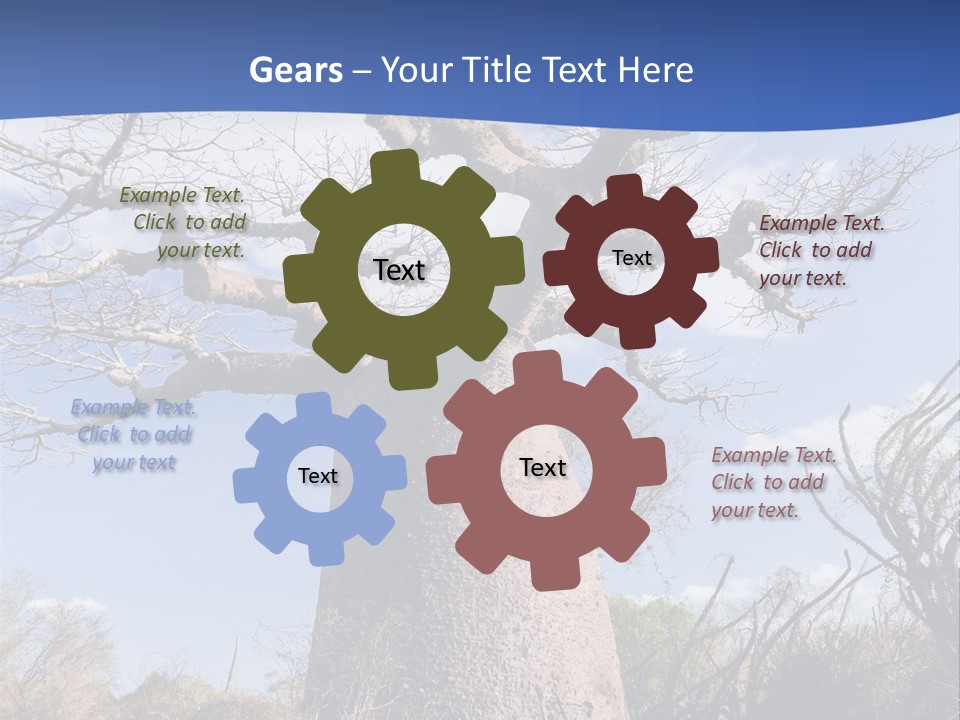 Branch Adansonia High PowerPoint Template