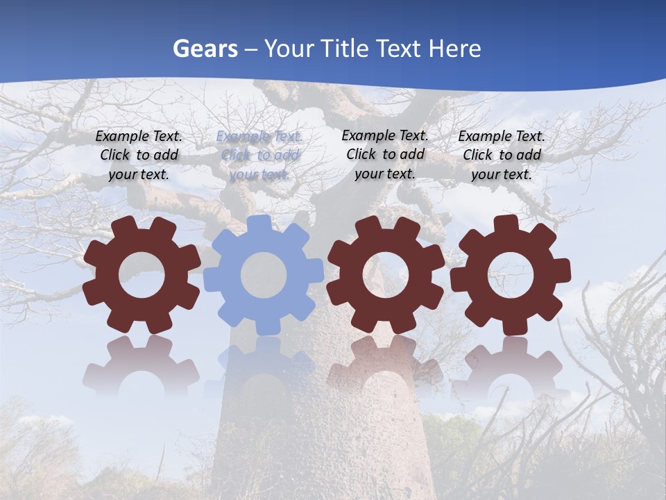 Branch Adansonia High PowerPoint Template