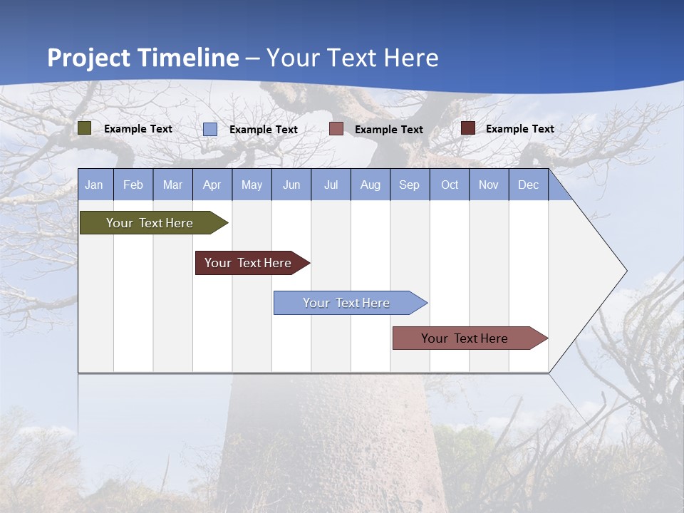Branch Adansonia High PowerPoint Template