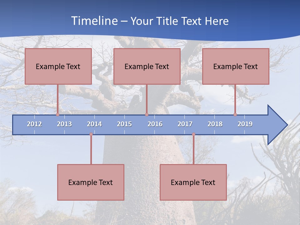 Branch Adansonia High PowerPoint Template