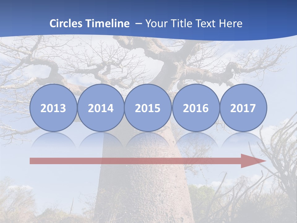 Branch Adansonia High PowerPoint Template