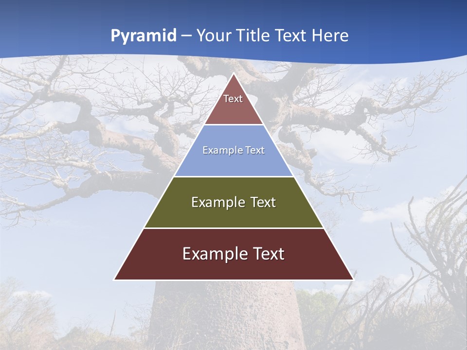 Branch Adansonia High PowerPoint Template