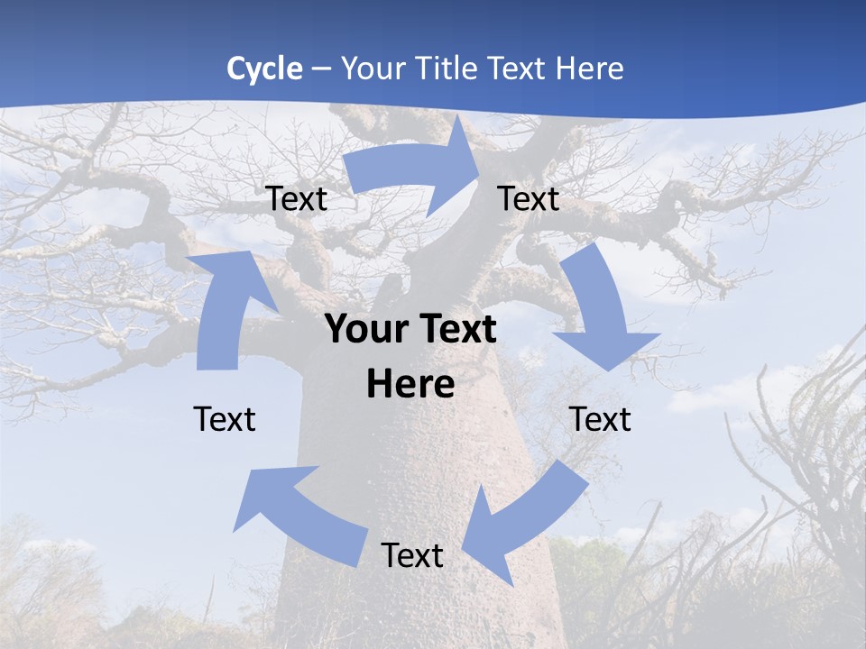Branch Adansonia High PowerPoint Template