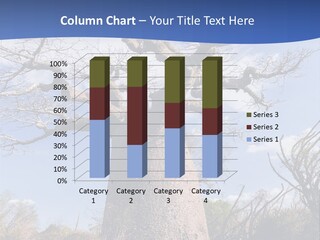 Branch Adansonia High PowerPoint Template