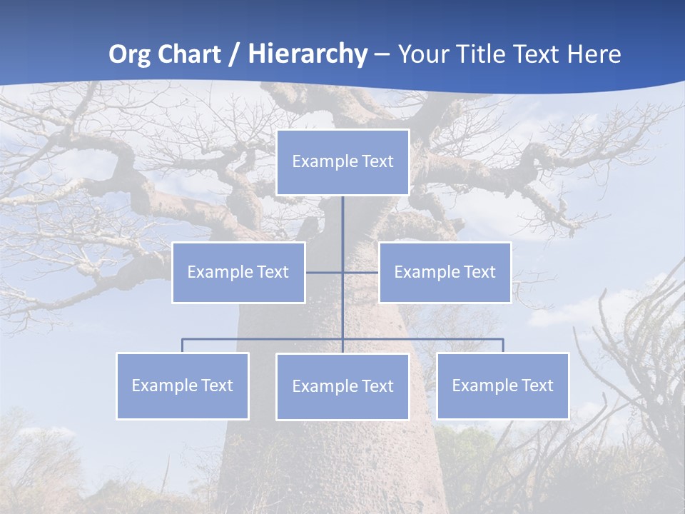 Branch Adansonia High PowerPoint Template