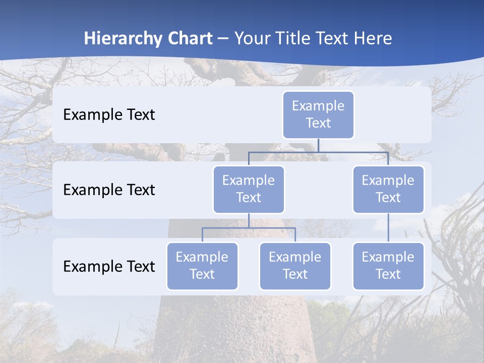 Branch Adansonia High PowerPoint Template