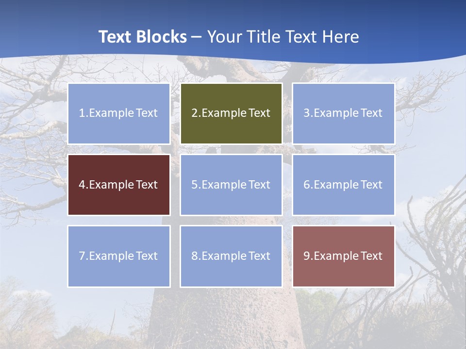 Branch Adansonia High PowerPoint Template