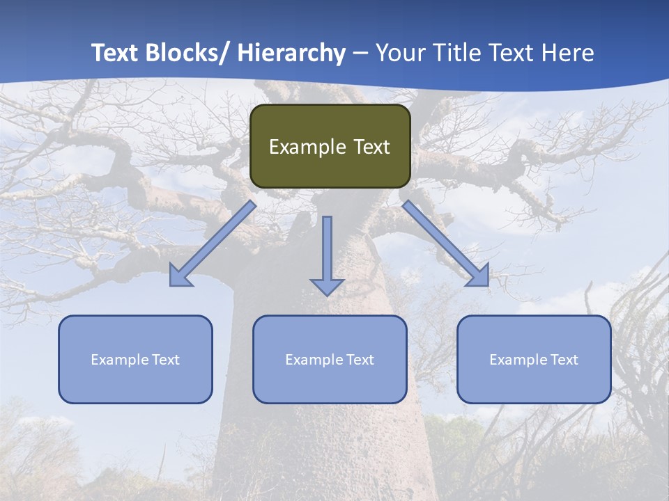 Branch Adansonia High PowerPoint Template