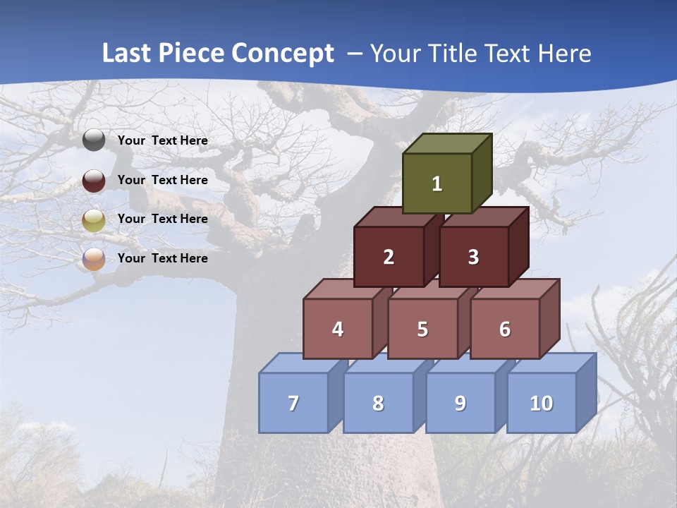 Branch Adansonia High PowerPoint Template