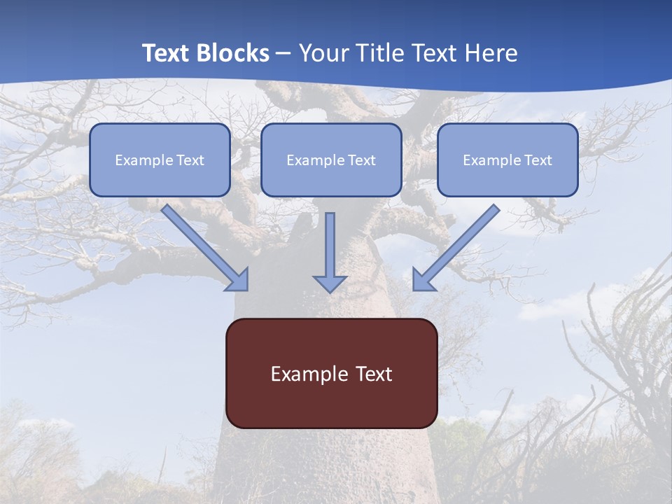 Branch Adansonia High PowerPoint Template