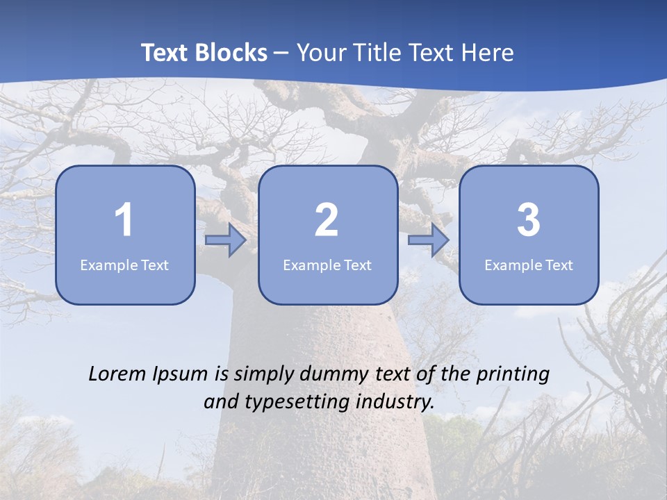 Branch Adansonia High PowerPoint Template
