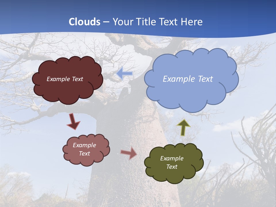 Branch Adansonia High PowerPoint Template