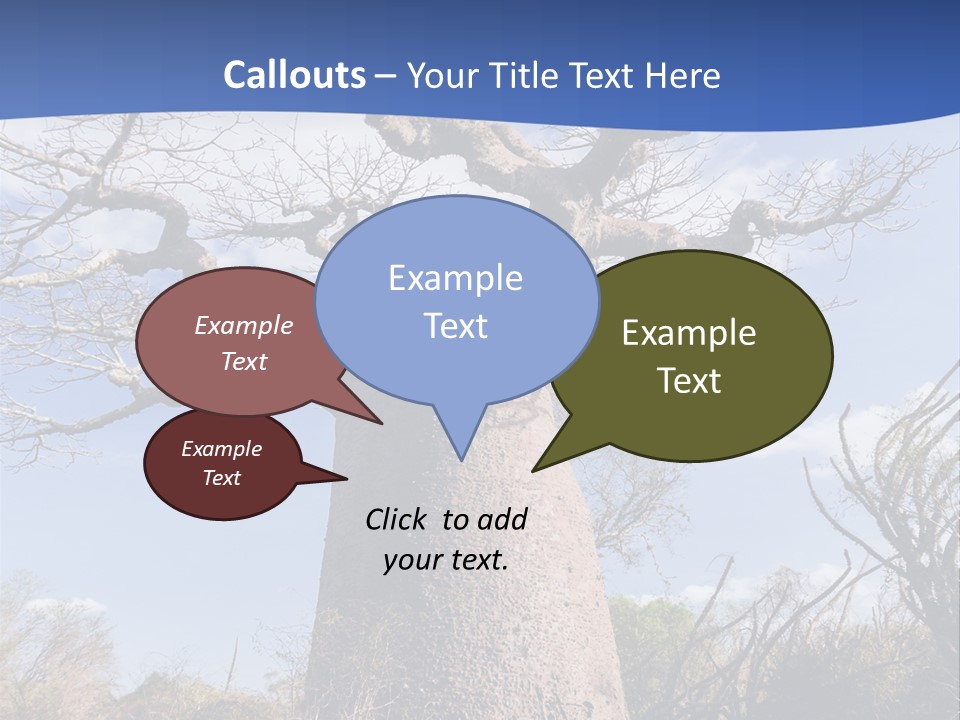 Branch Adansonia High PowerPoint Template