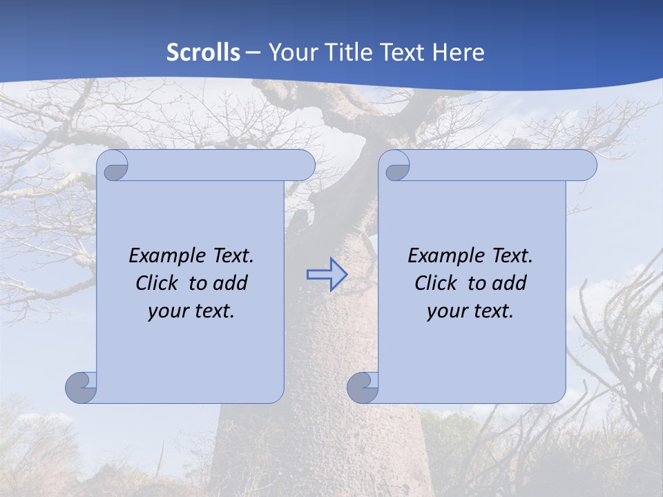 Branch Adansonia High PowerPoint Template