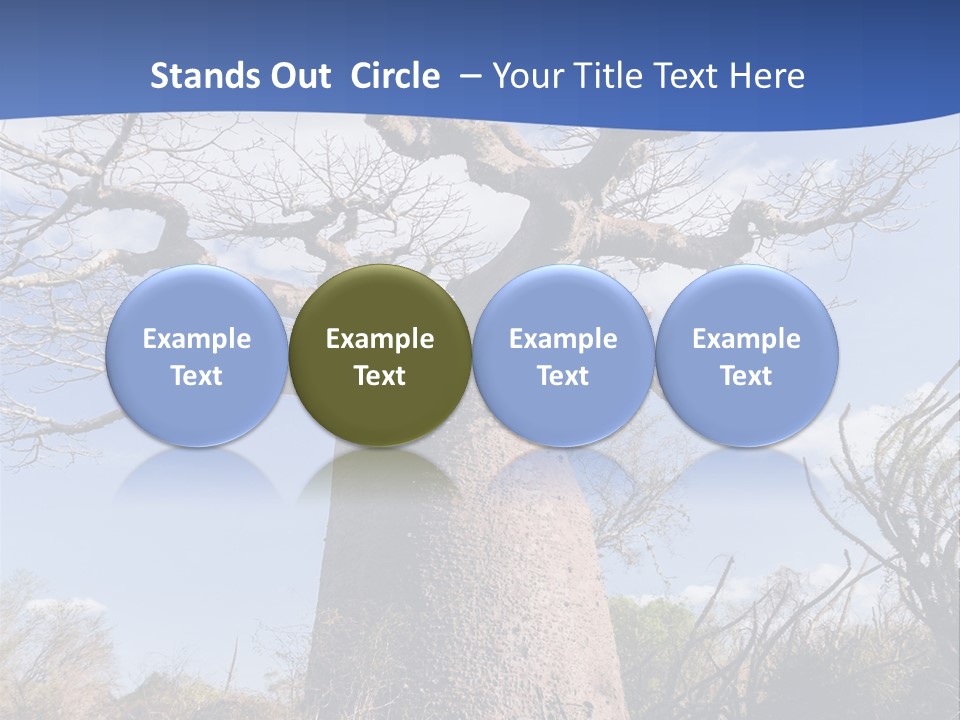 Branch Adansonia High PowerPoint Template