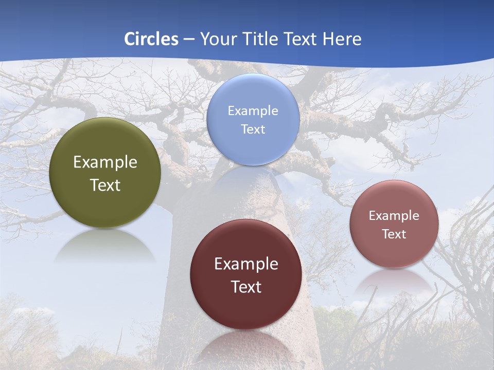 Branch Adansonia High PowerPoint Template