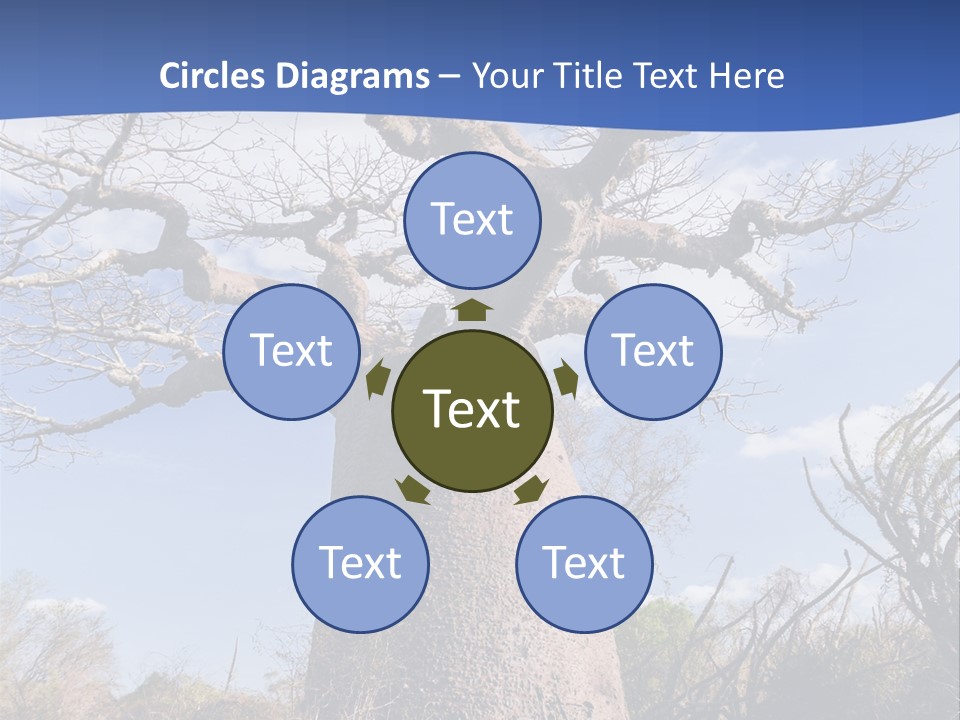 Branch Adansonia High PowerPoint Template