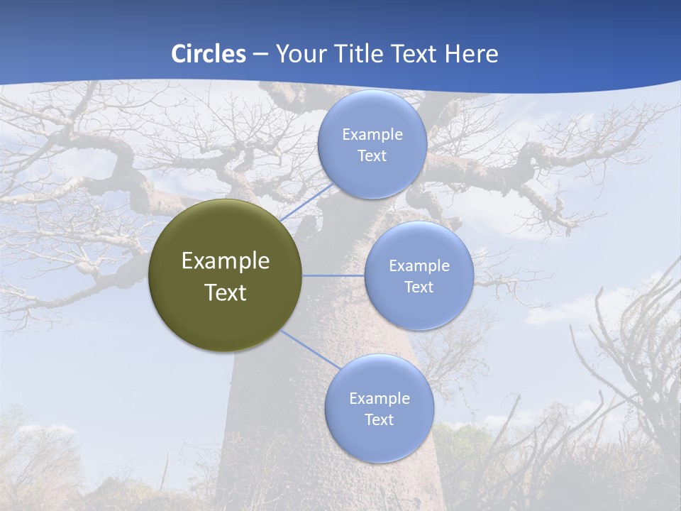 Branch Adansonia High PowerPoint Template