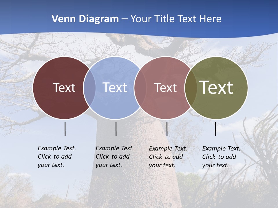 Branch Adansonia High PowerPoint Template