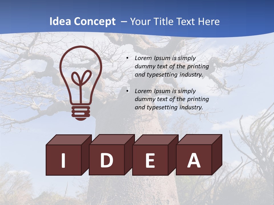 Branch Adansonia High PowerPoint Template