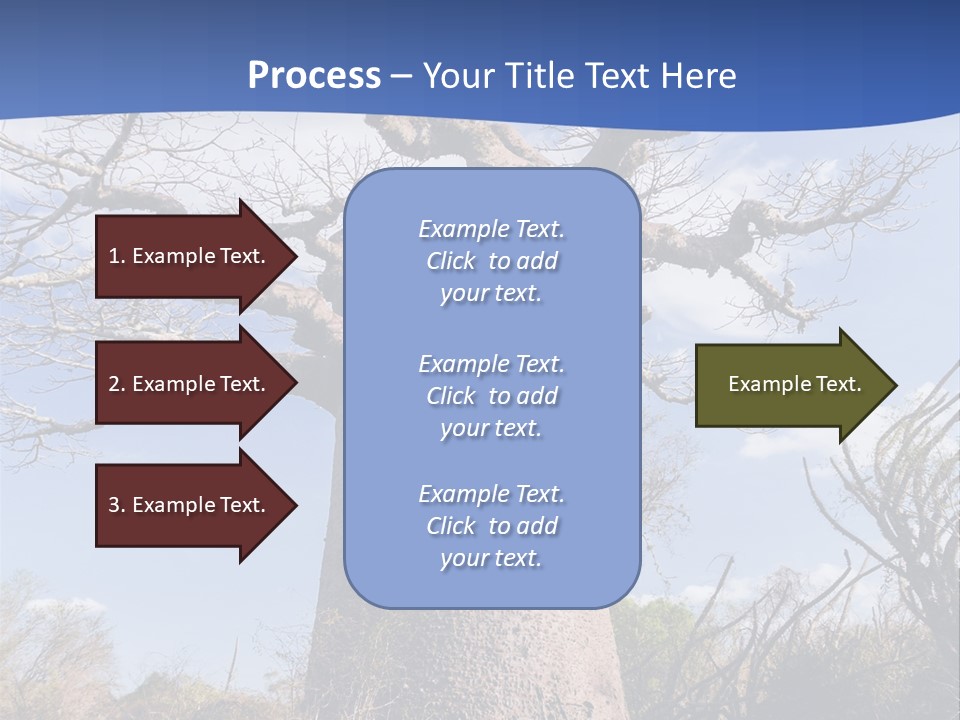 Branch Adansonia High PowerPoint Template