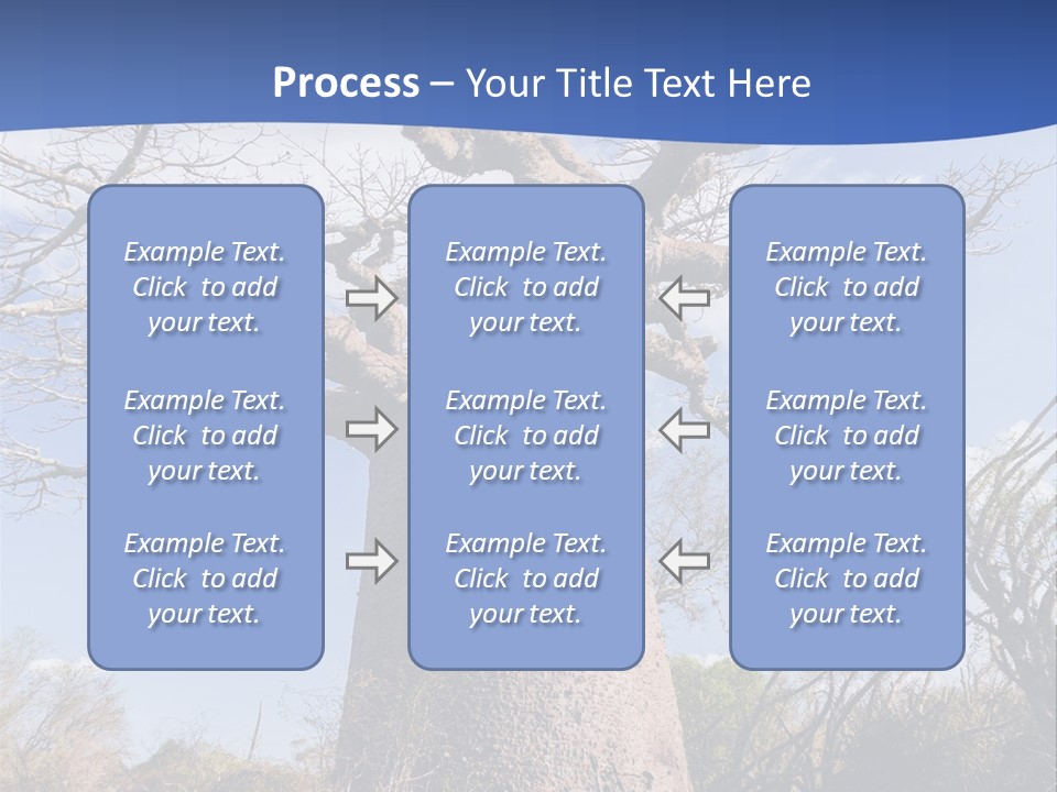 Branch Adansonia High PowerPoint Template