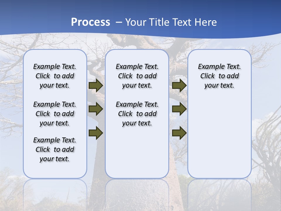 Branch Adansonia High PowerPoint Template