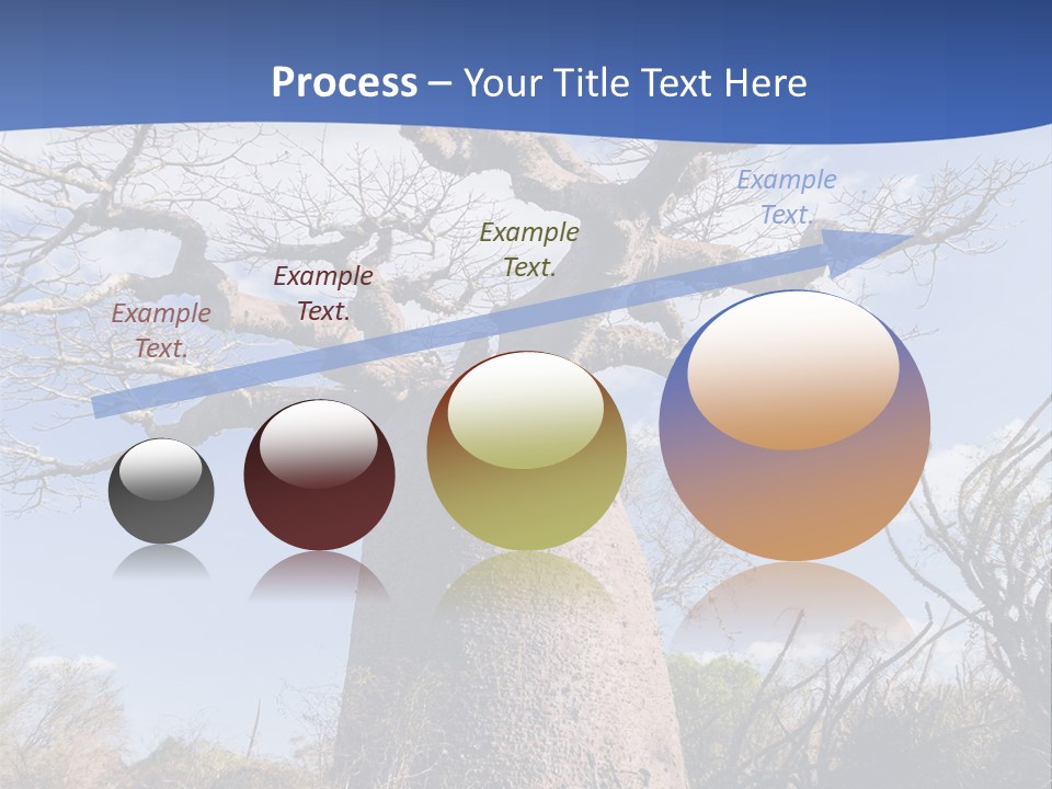 Branch Adansonia High PowerPoint Template