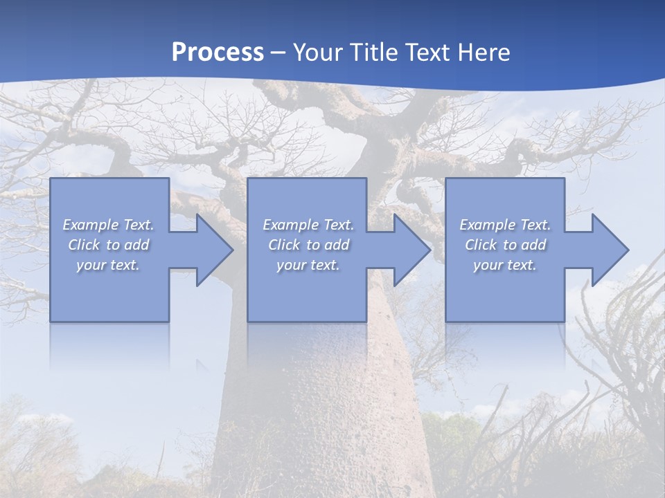 Branch Adansonia High PowerPoint Template